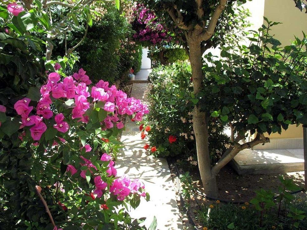 Rododafni Villas Klorakas エクステリア 写真