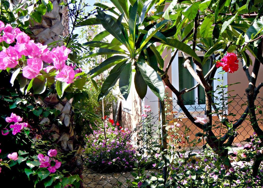 Rododafni Villas Klorakas エクステリア 写真