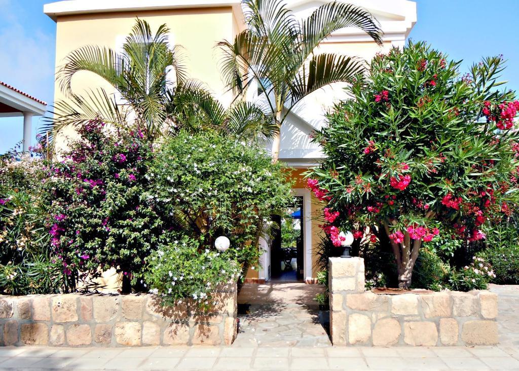 Rododafni Villas Klorakas 部屋 写真